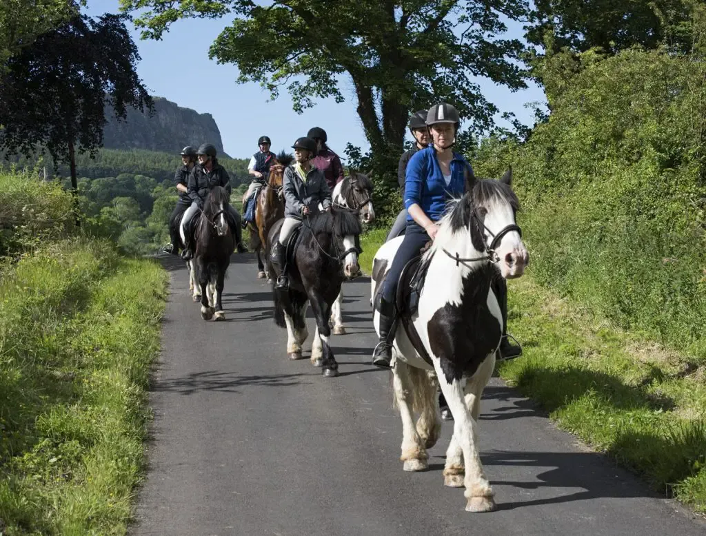 Horse Riding Trips and Holidays in 