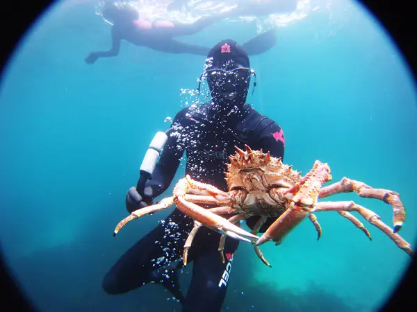 Underwater Foraging in Newquay