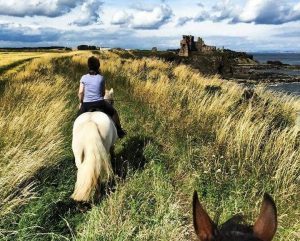 Horse Riding in North Berwick