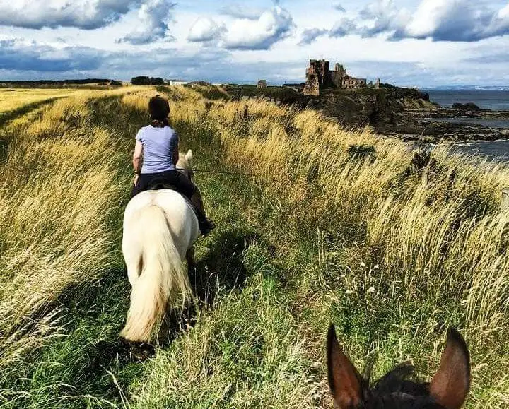 Horse Riding in North Berwick
