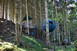 Suspended Tents in Powys