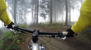 Mountain Biking in Davagh Forest