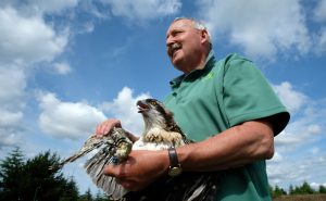 Kielder Birds of Prey Centre in Northumberland