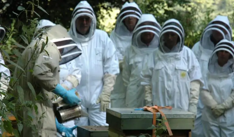 Beekeeping Centre in North Wales