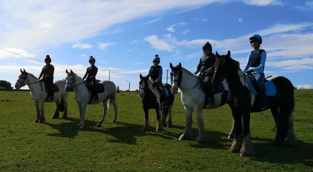 Learn Horse Riding in South Shields