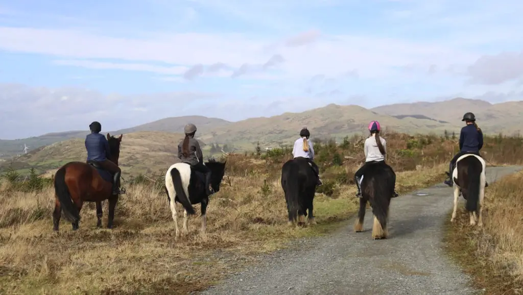 Pony Trekking and Horse Riding in Castlewellan