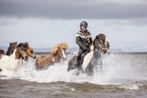Winter and Northern Lights Horse Riding Tour