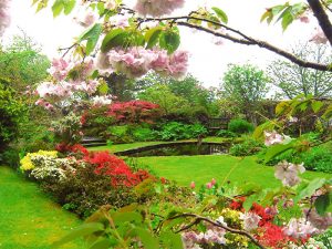 An Cala Gardens in Argyll