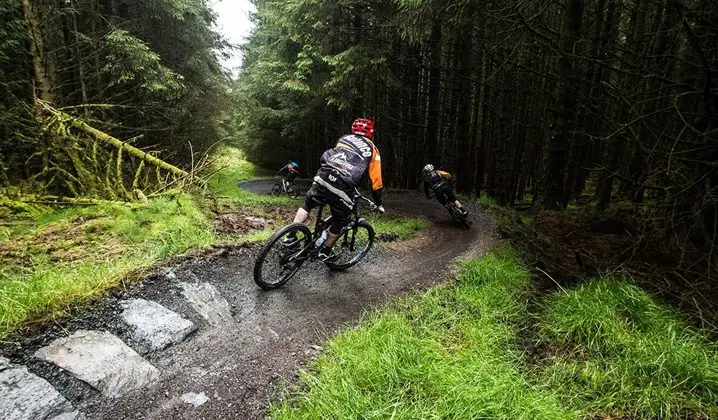 Forest Mountain Bike Trails Near Cookstown