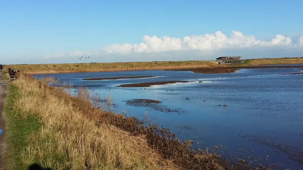 Relax Around Nature at RSPB Nature Reserve in Titchwell
