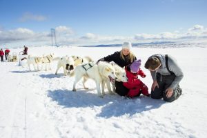 Tailor-made Luxury Tours in Iceland