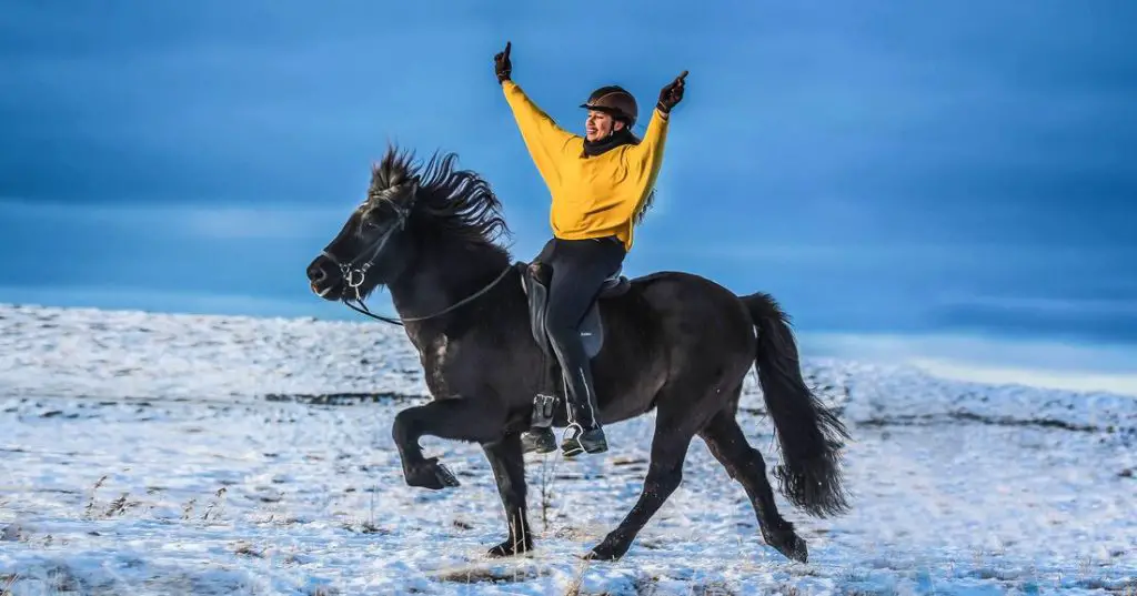 Horse-Riding Tours in Iceland