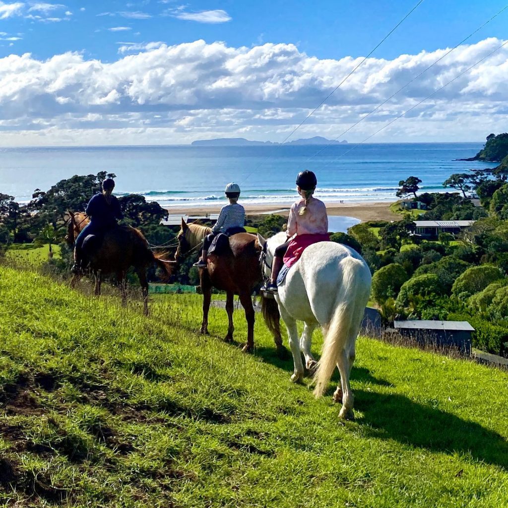 Experience the Coast with Sandy Bay Horses