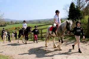 Horse Riding In County Londonderry
