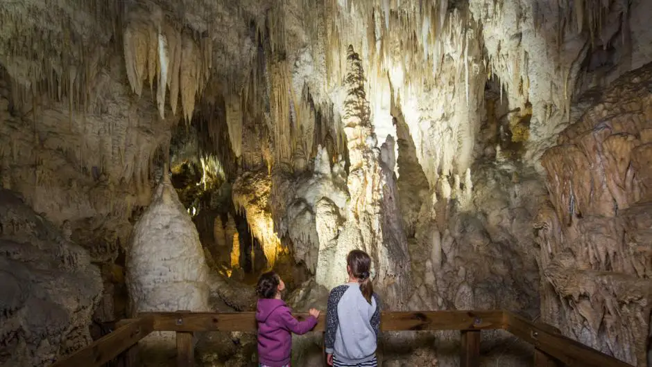 Discover Aranui Cave in Waitomo