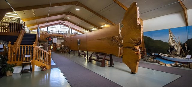 Kauri Museum in Northland