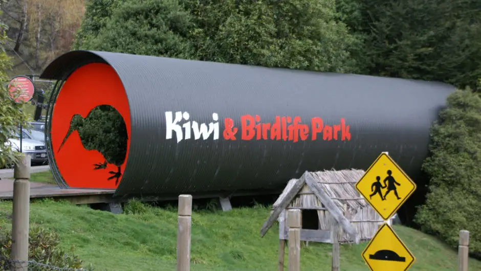 Kiwi Birdlife Park in Queenstown