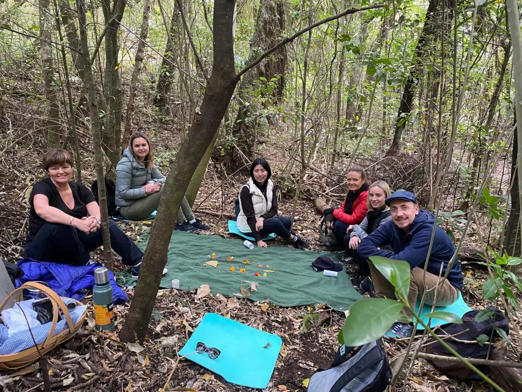Wellbeing Workshop With Forest Therapy on Waiheke Island