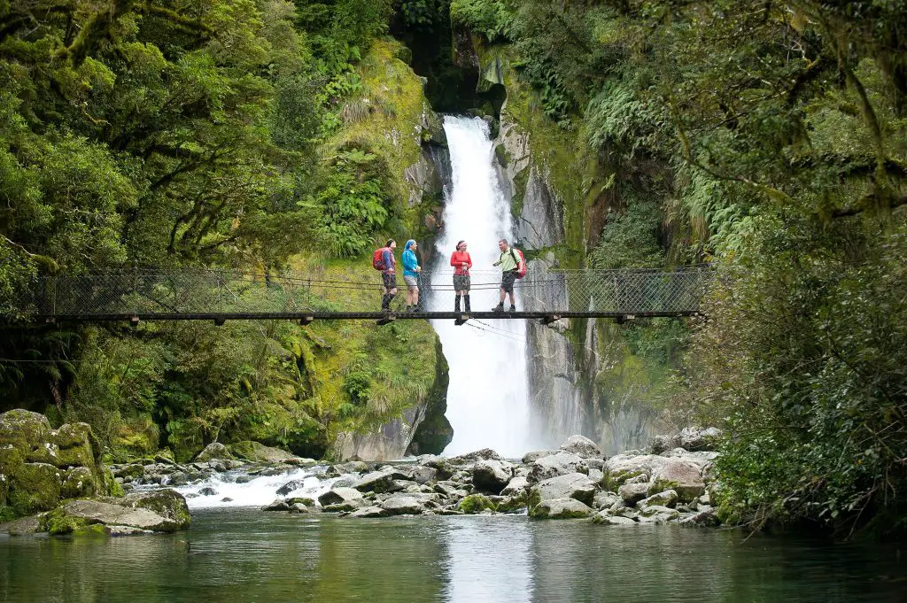 Guided Hikes of Fiordland