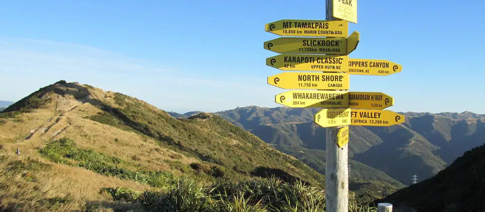 Wellington Hiking and Walk Trail – Makara Track