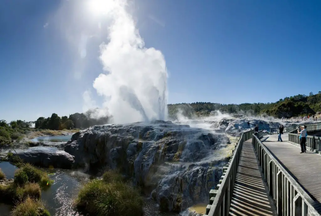 See the Amazing Geysers of Te Puia