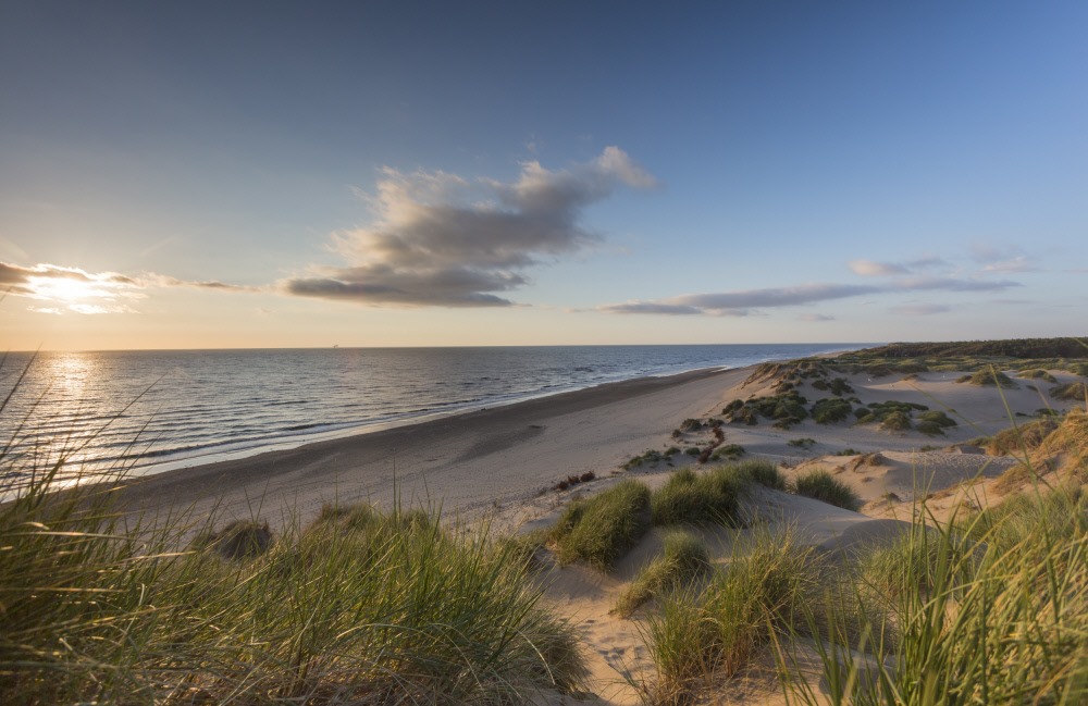 can you take dogs on formby beach