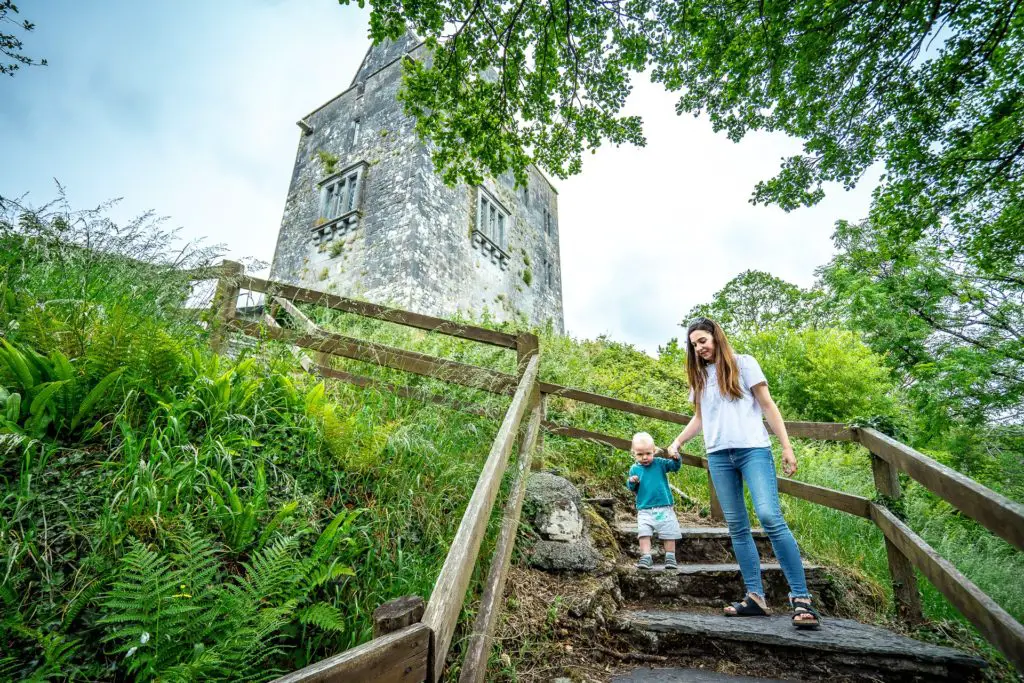 Visit Craggaunowen Castle and Crannog in Clare