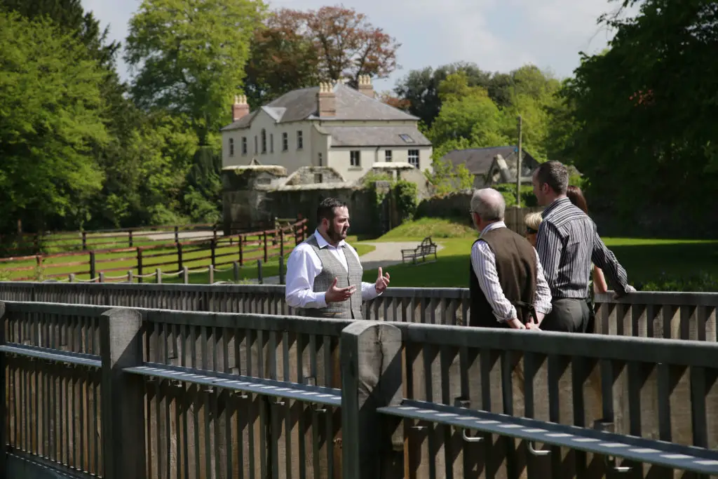 Take a Tour of the Famous Royal Oak Distillery in Co Carlow