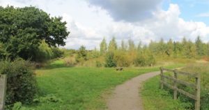 Explore the Forest of Marston Vale in Bedfordshire